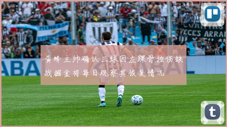 黄蜂主帅确认三球因左踝骨挫伤缺战掘金将每日观察其恢复情况