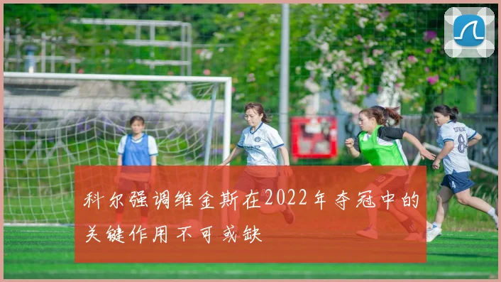 科尔强调维金斯在2022年夺冠中的关键作用不可或缺