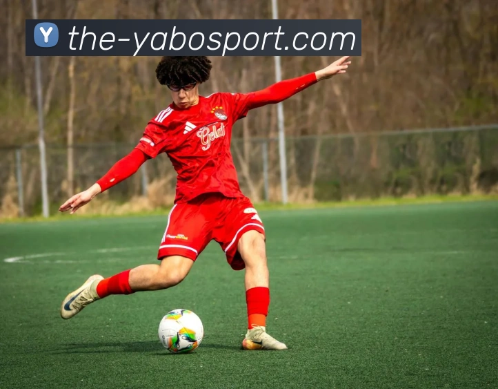 亚博体育APP 封面图